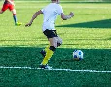 高晓松分享,瘦身成果,天减重,宝威体育官网,APP下载,注册领彩金,官方网站,网站入口