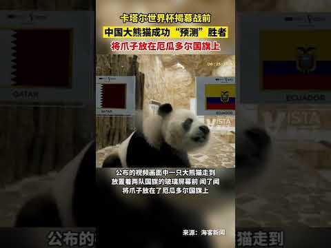 广州队解散,真相,高额转会与,宝威体育官网,APP下载,注册领彩金,官方网站,网站入口