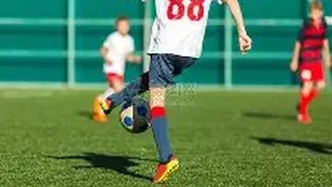 宝威体育 产品 093413 yli