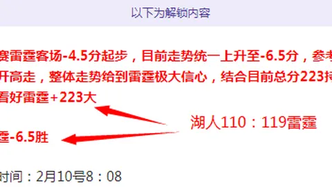 南美杯期号专家质合推荐：前区十码主队数据分析